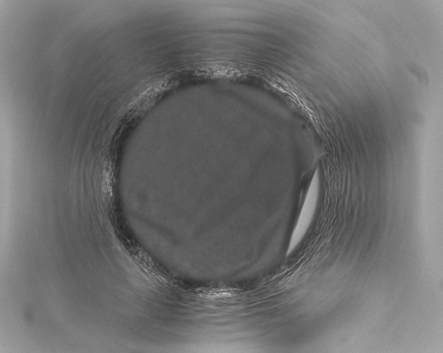 X0000115370643200912011134