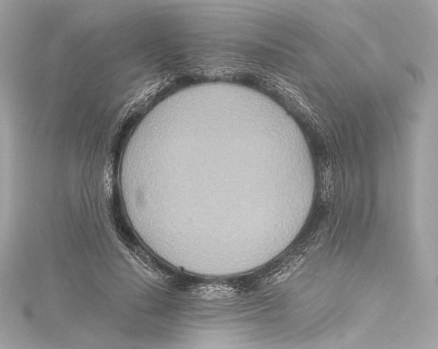 X0000115370644200912011134
