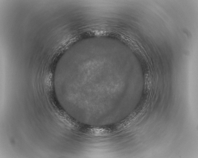 X0000115370650200912011134