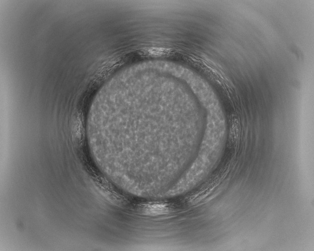 X0000115370651200912011134
