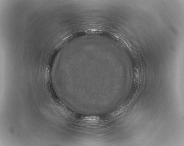 X0000115370659200912011134