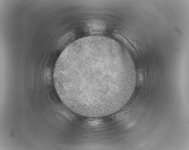 X0000115370667200912011134