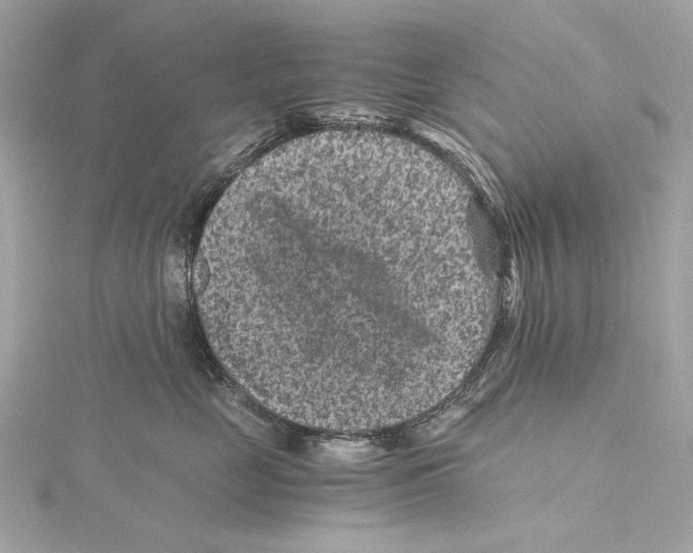 X0000115370669200912011134