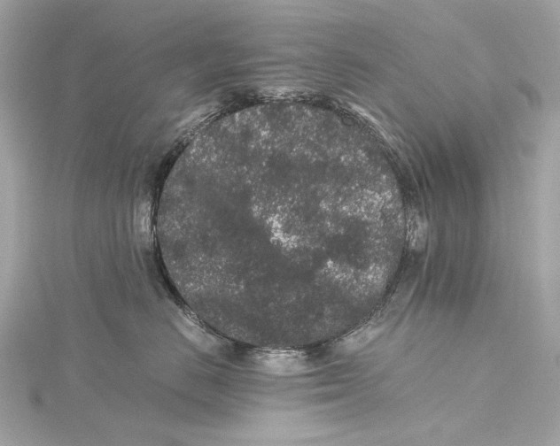 X0000115370670200912011134