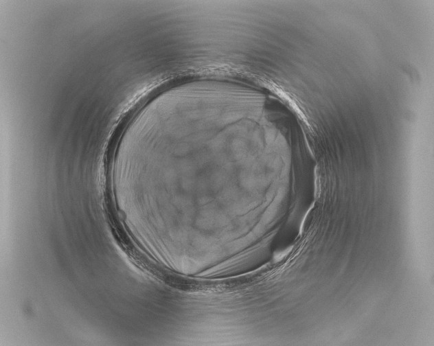X0000115370674200912011134