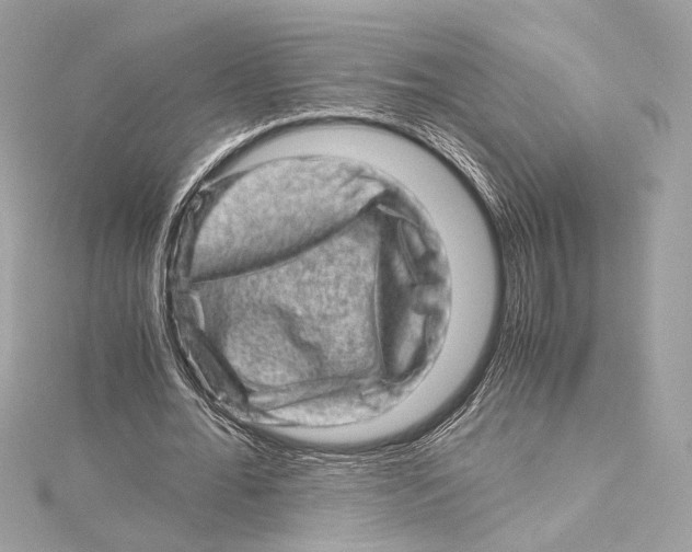 X0000115370676200912011134