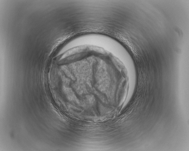 X0000115370688200912011133
