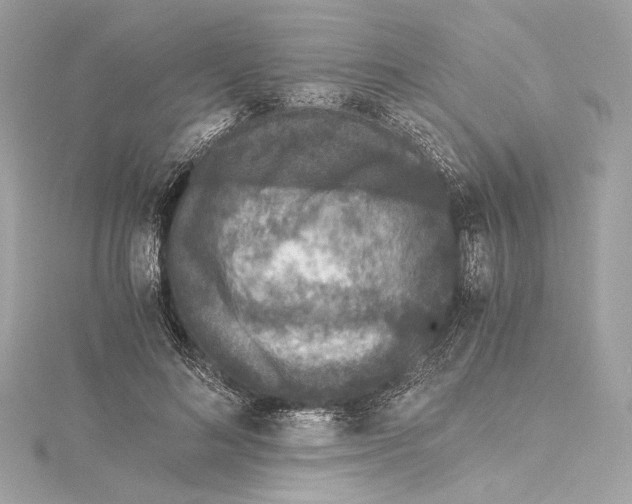 X0000115370692200912011133