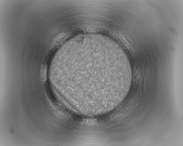 X0000115370694200912011133