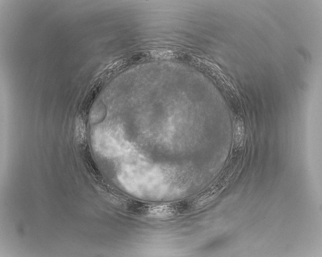 X0000115370705200912011133