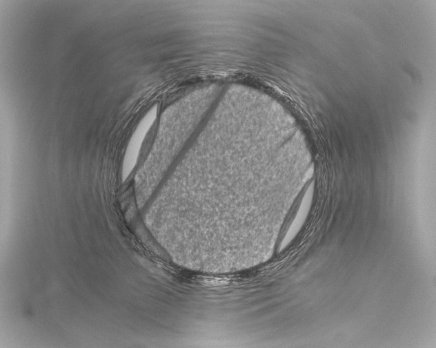 X0000115370709200912011133