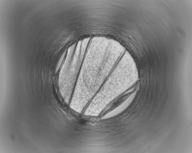 X0000115370712200912011133