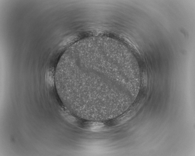 X0000115370719200912011133