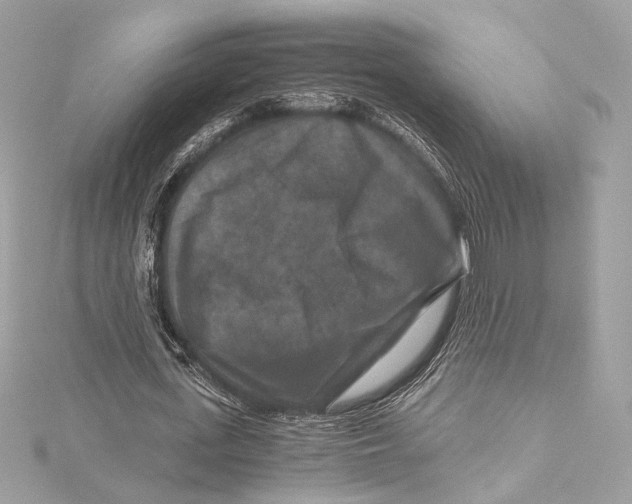 X0000115370723200912011132