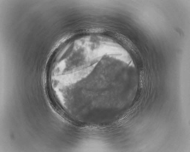 X0000115370726200912011133