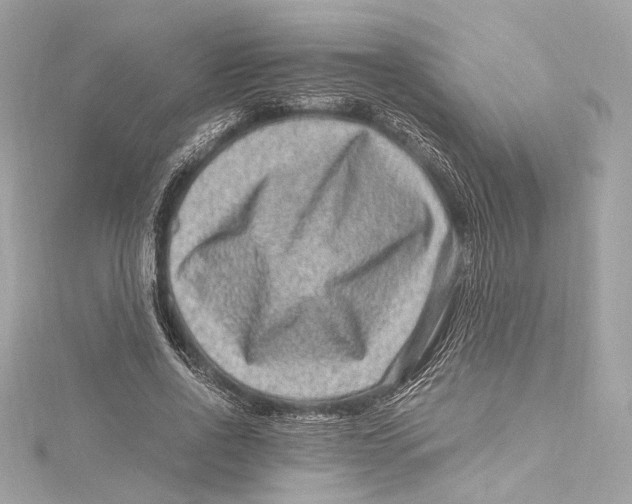 X0000115370734200912011133