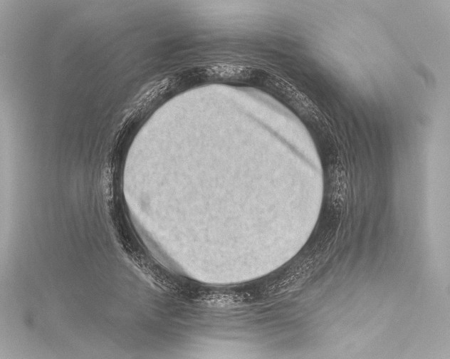 X0000115370738200912011133