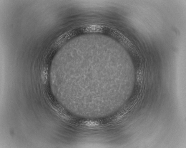 X0000115370741200912011133