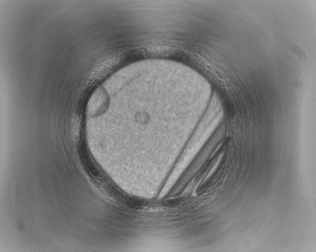 X0000115370742200912011133