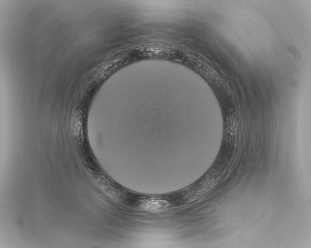X0000115370754200912011133
