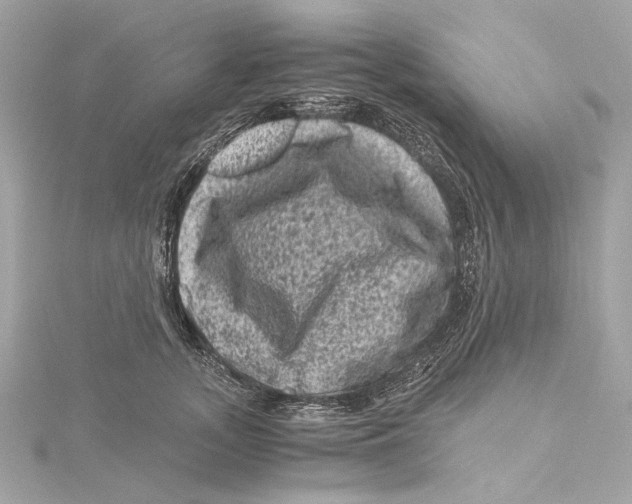 X0000115370755200912011133
