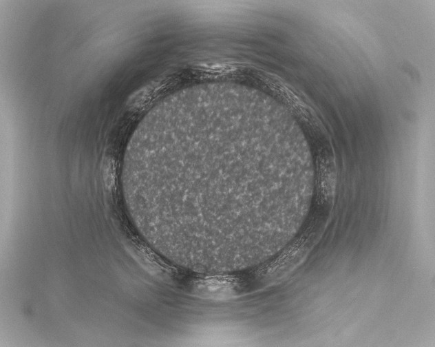 X0000115370758200912011133