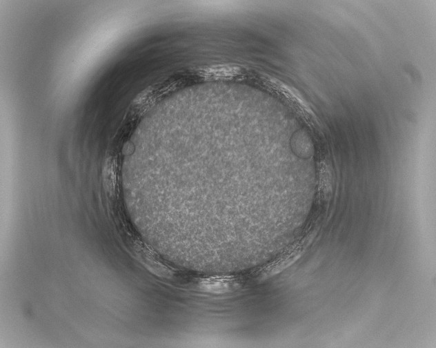 X0000115370761200912011133
