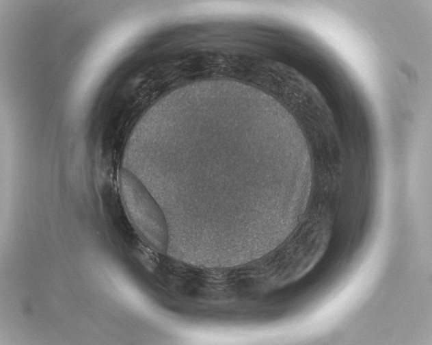 X0000115370766200912011133
