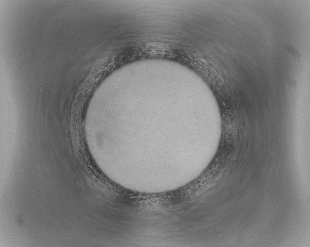 X0000115370769200912011132