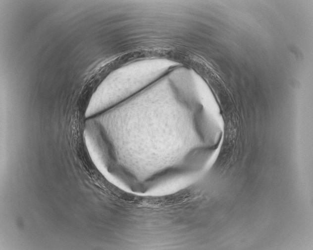 X0000115370773200912011132