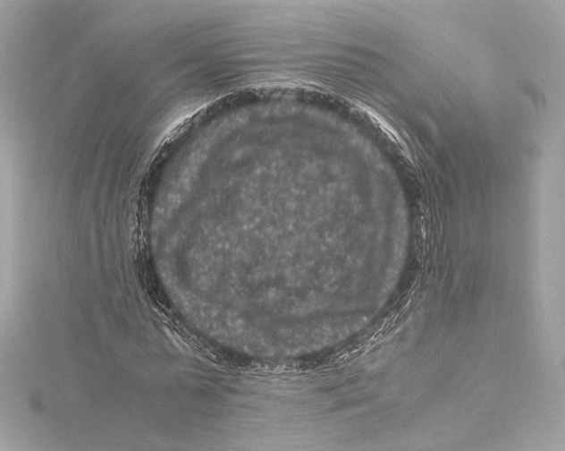 X0000115370775200912011132