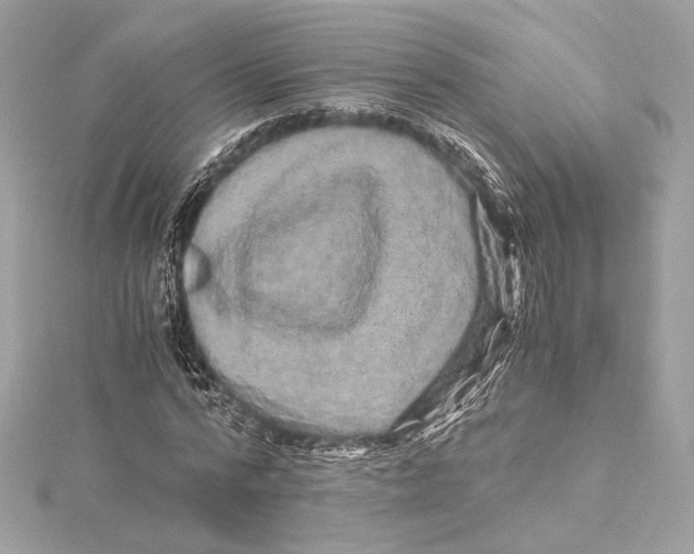 X0000115370776200912011132