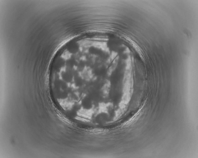 X0000115370779200912011132