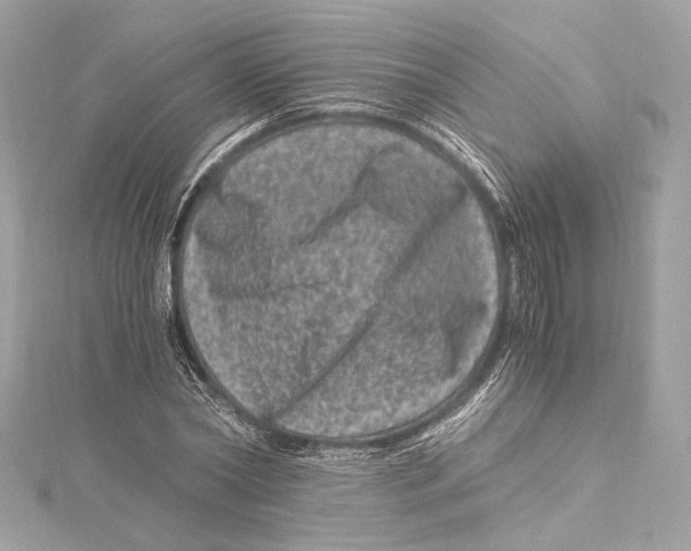 X0000115370782200912011132