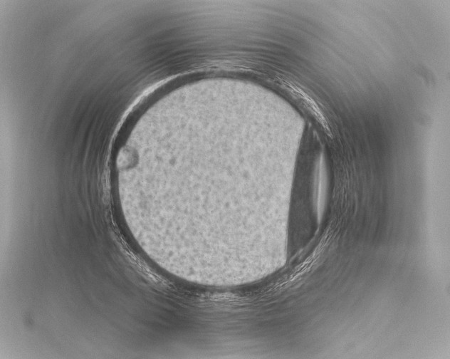 X0000115370784200912011132