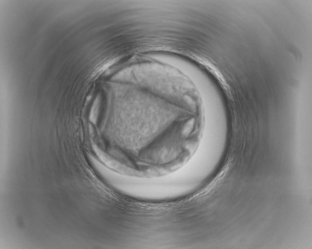 X0000115370785200912011132