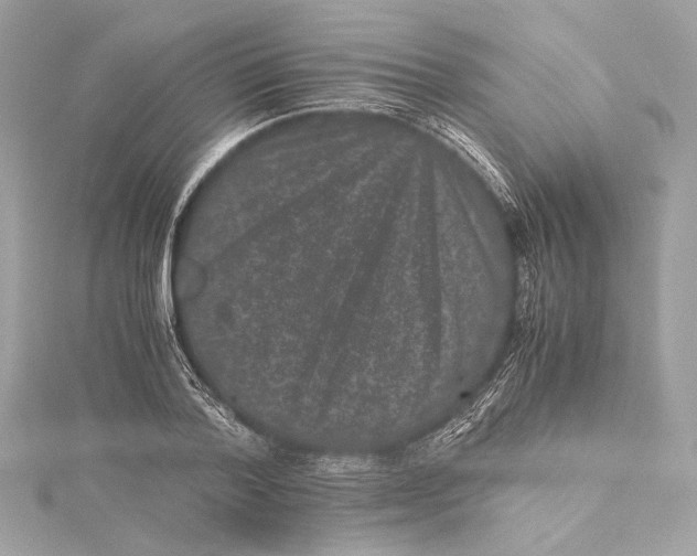 X0000115370788200912011132