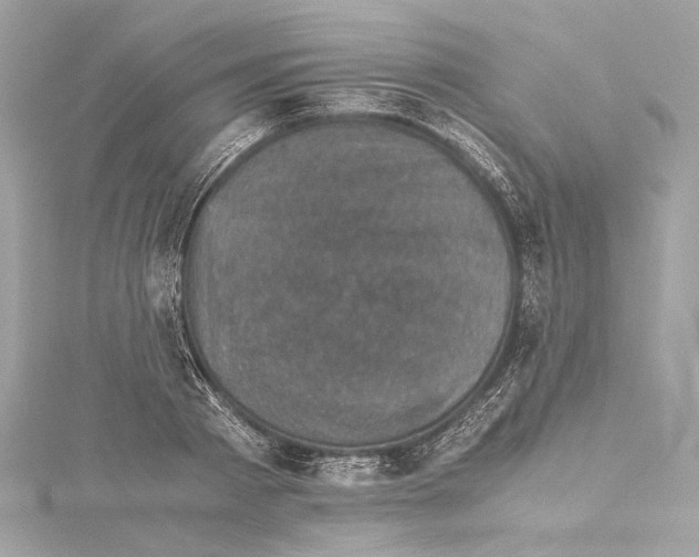X0000115370793200912011132