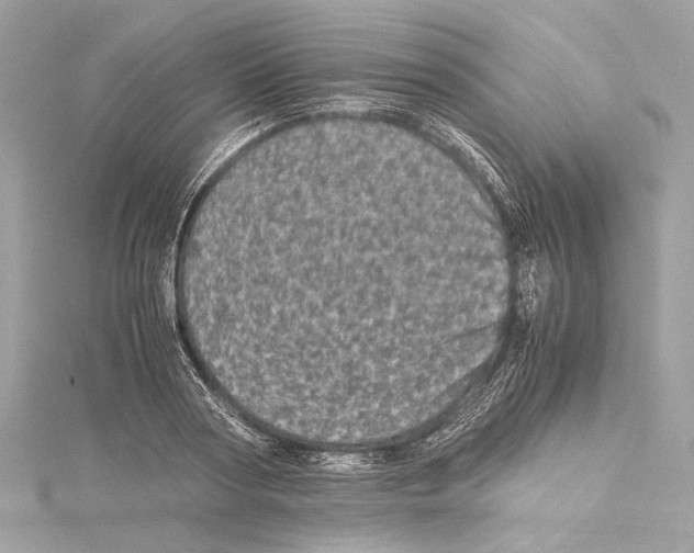 X0000115370794200912011132