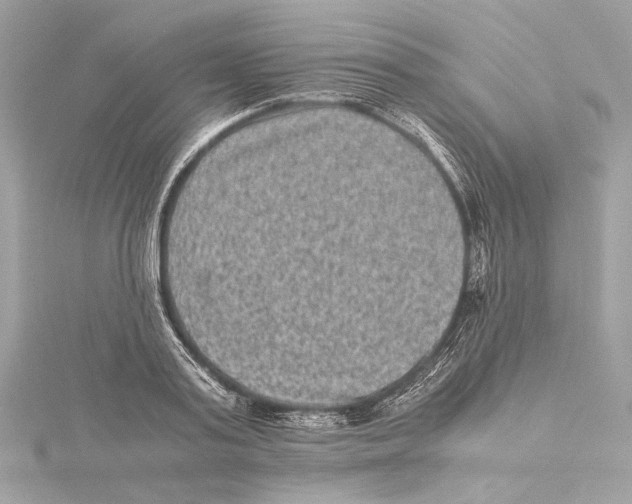 X0000115370795200912011132
