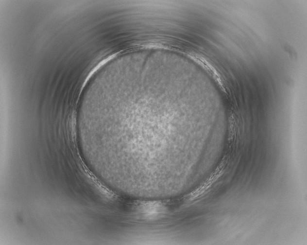 X0000115370798200912011132