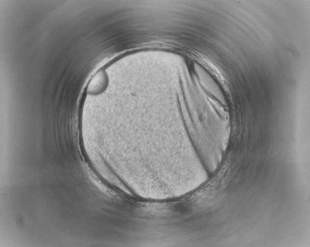 X0000115370800200912011132
