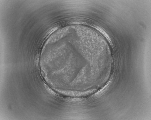 X0000115370801200912011132
