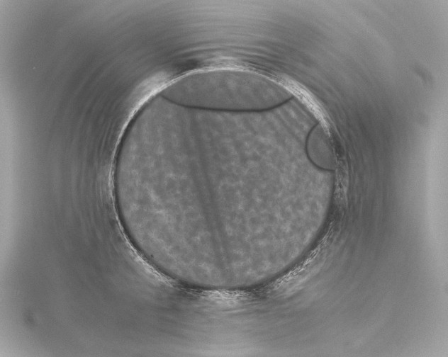 X0000115370805200912011132