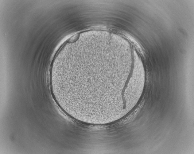X0000115370808200912011132