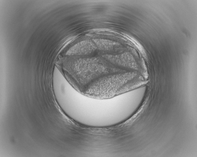 X0000115370809200912011132
