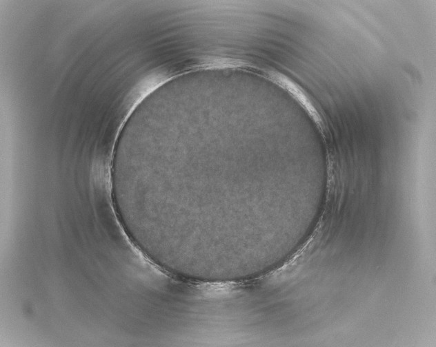 X0000115370810200912011132