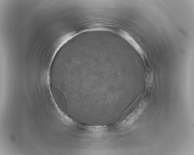 X0000115370813200912011132
