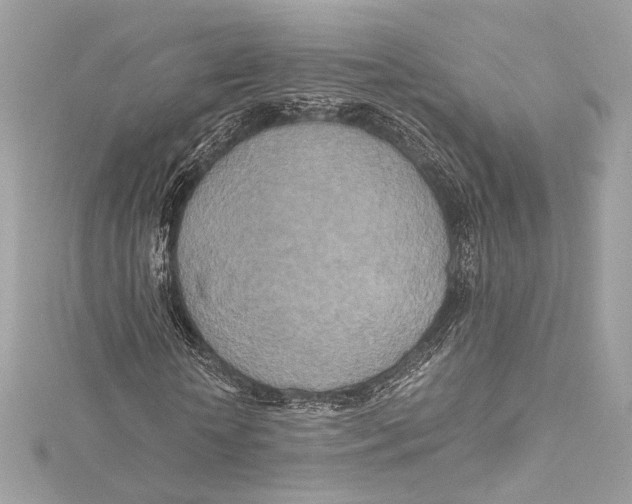 X0000115370818200912011131