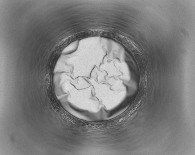 X0000115370821200912011131